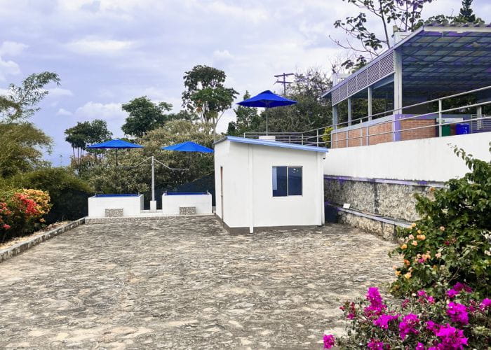 Piscina y palmeras